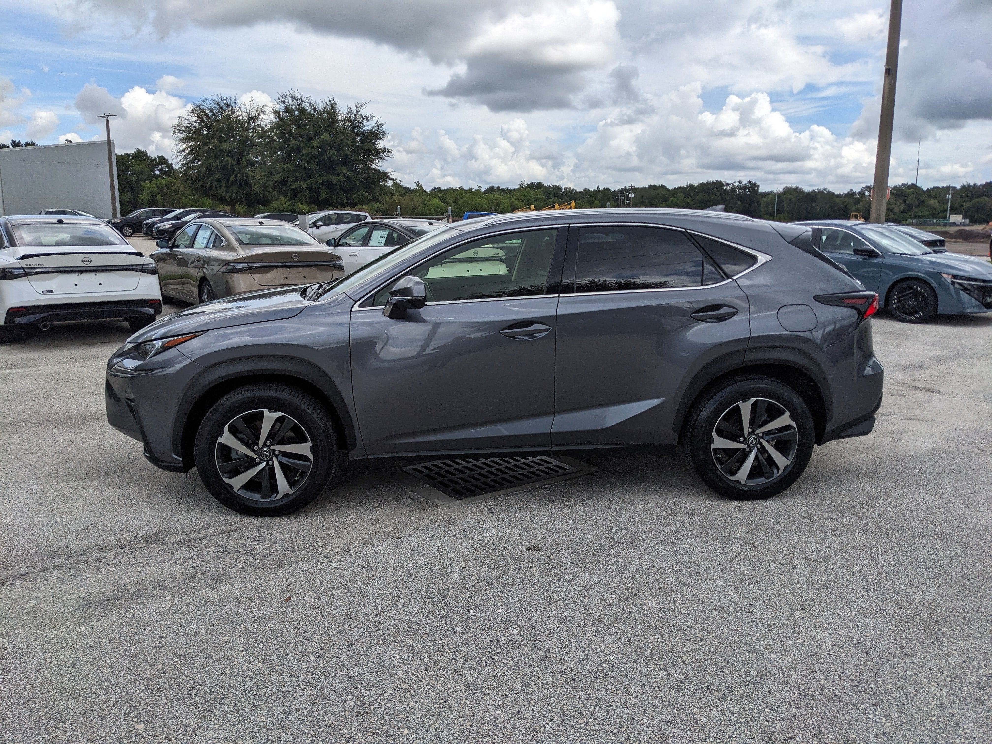 2021 Lexus NX NX 300